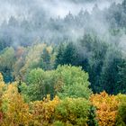 Nebel, Nebel, weißer Hauch