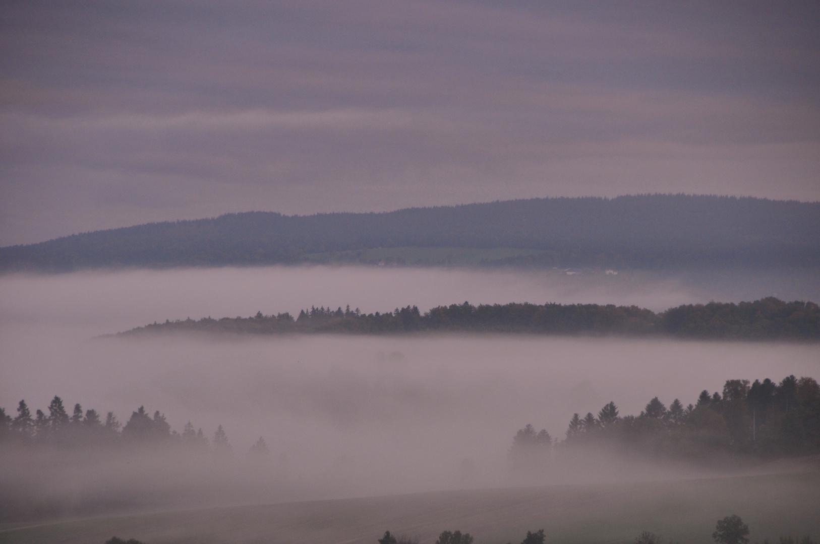 Nebel, Nebel weißer Hauch....( A. Blume )