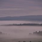 Nebel, Nebel weißer Hauch....( A. Blume )