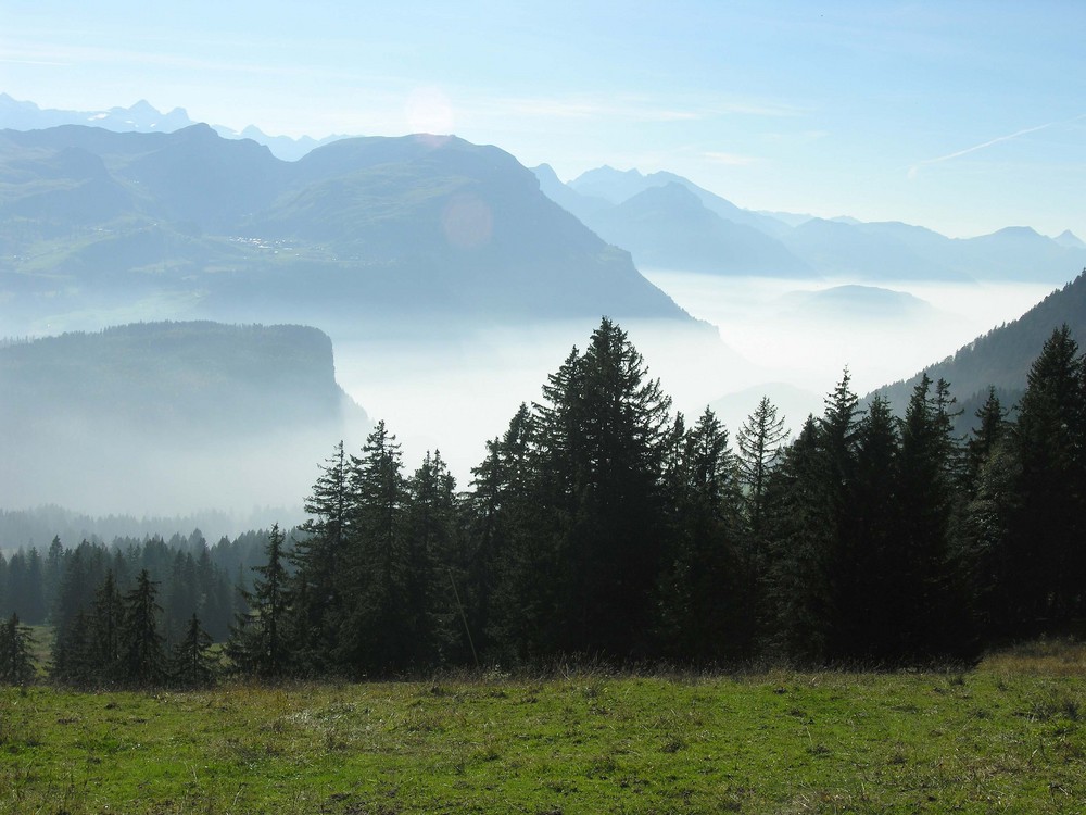 Nebel, Nebel, weißer Hauch...