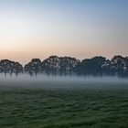 Nebel Nebel weißer Hauch 