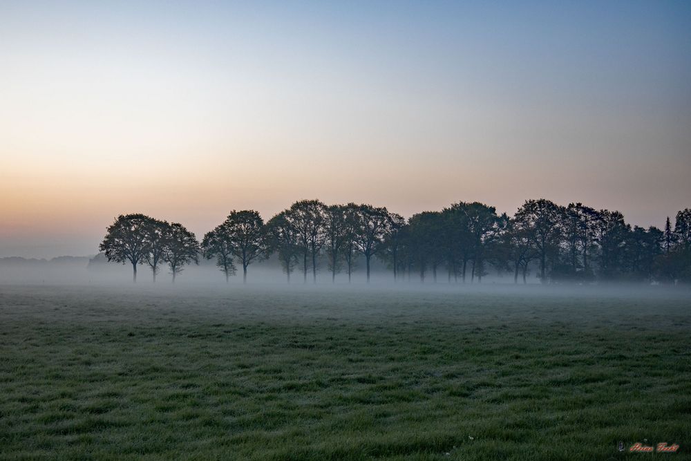 Nebel Nebel weißer Hauch 