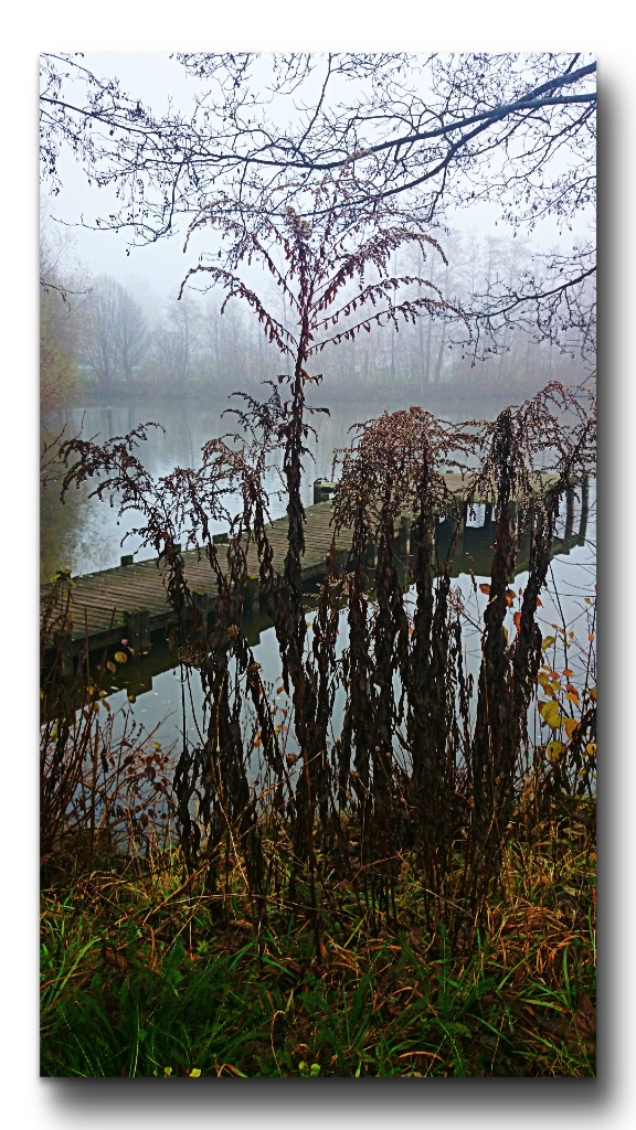 Nebel, Nebel,Nebel... kalt und nass