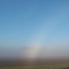 Nebel oder Dunst