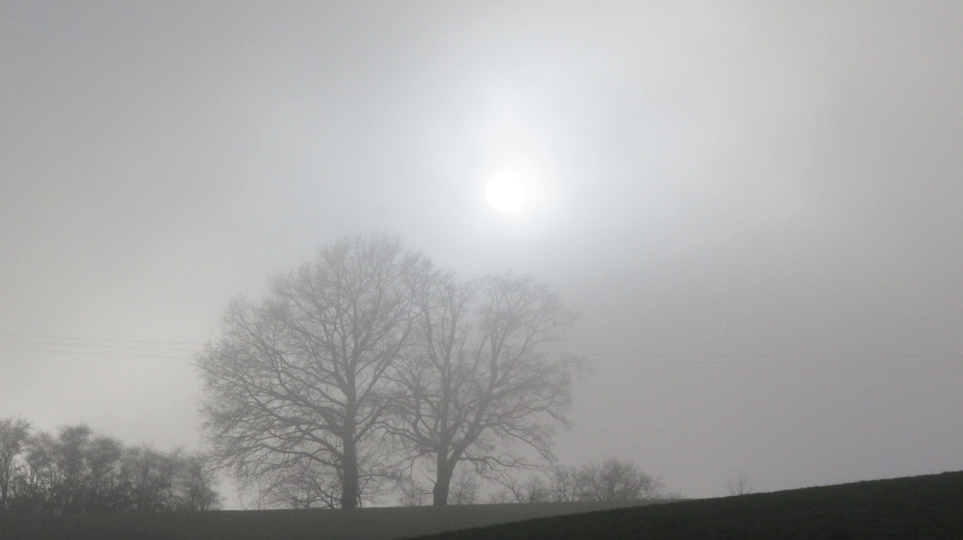 Nebel oder Sonne