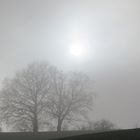 Nebel oder Sonne