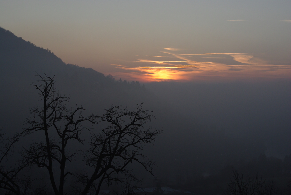 Nebel oder Sonne