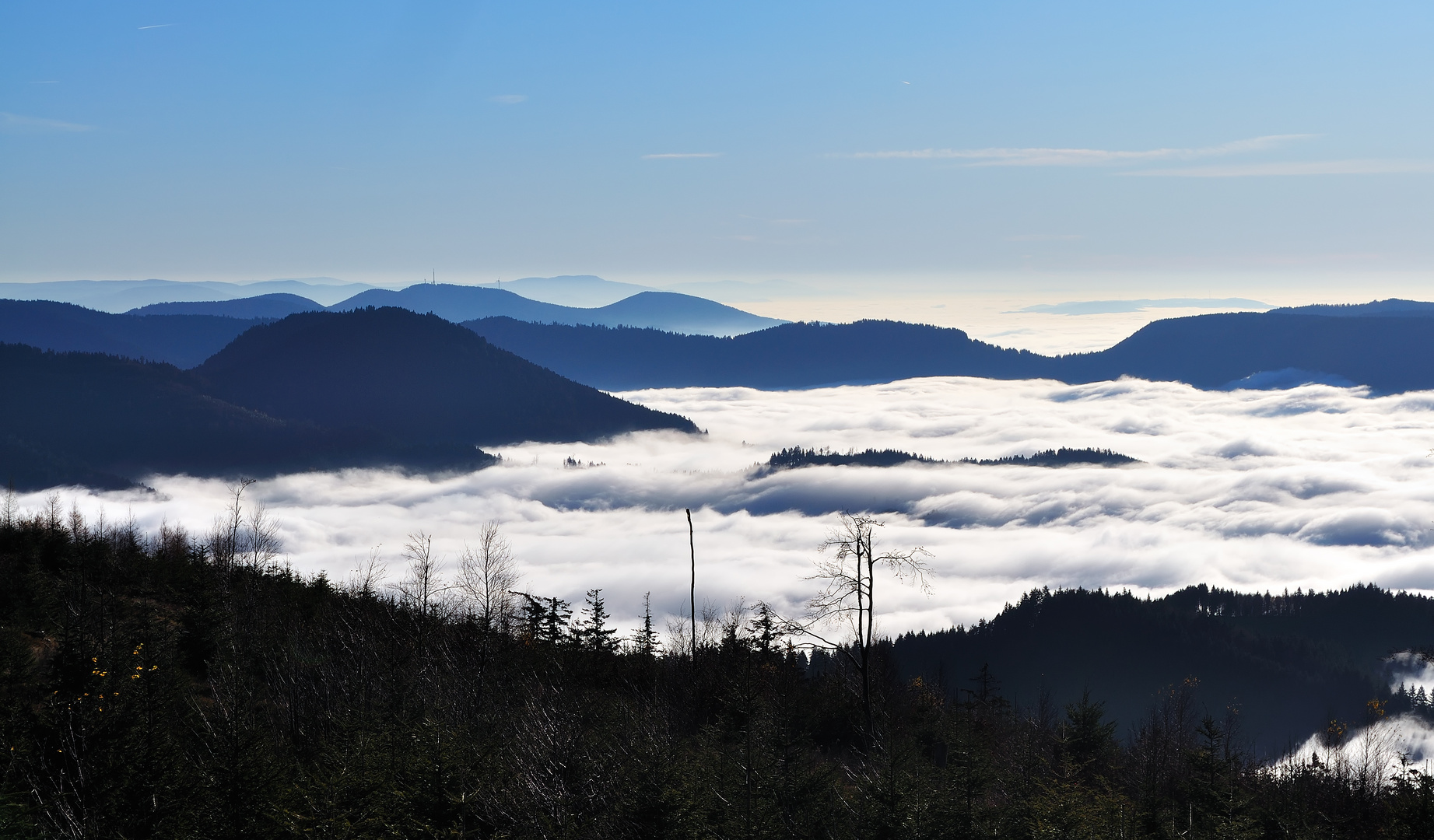 Nebel ohne Ende