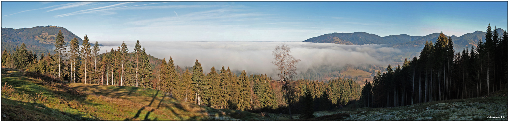 Nebel-Pano