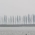 Nebel-Panorama 