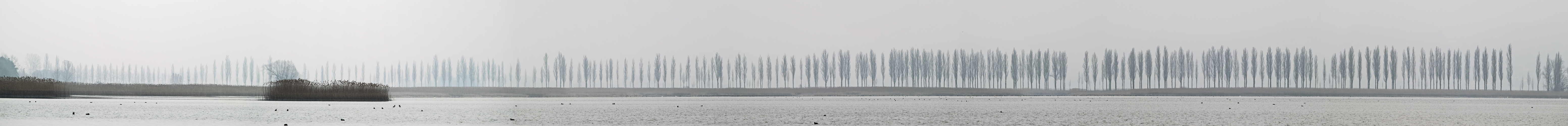 Nebel-Panorama 