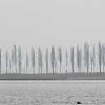 Nebel-Panorama 