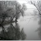 Nebel-Rauhreif-Regensburg 4