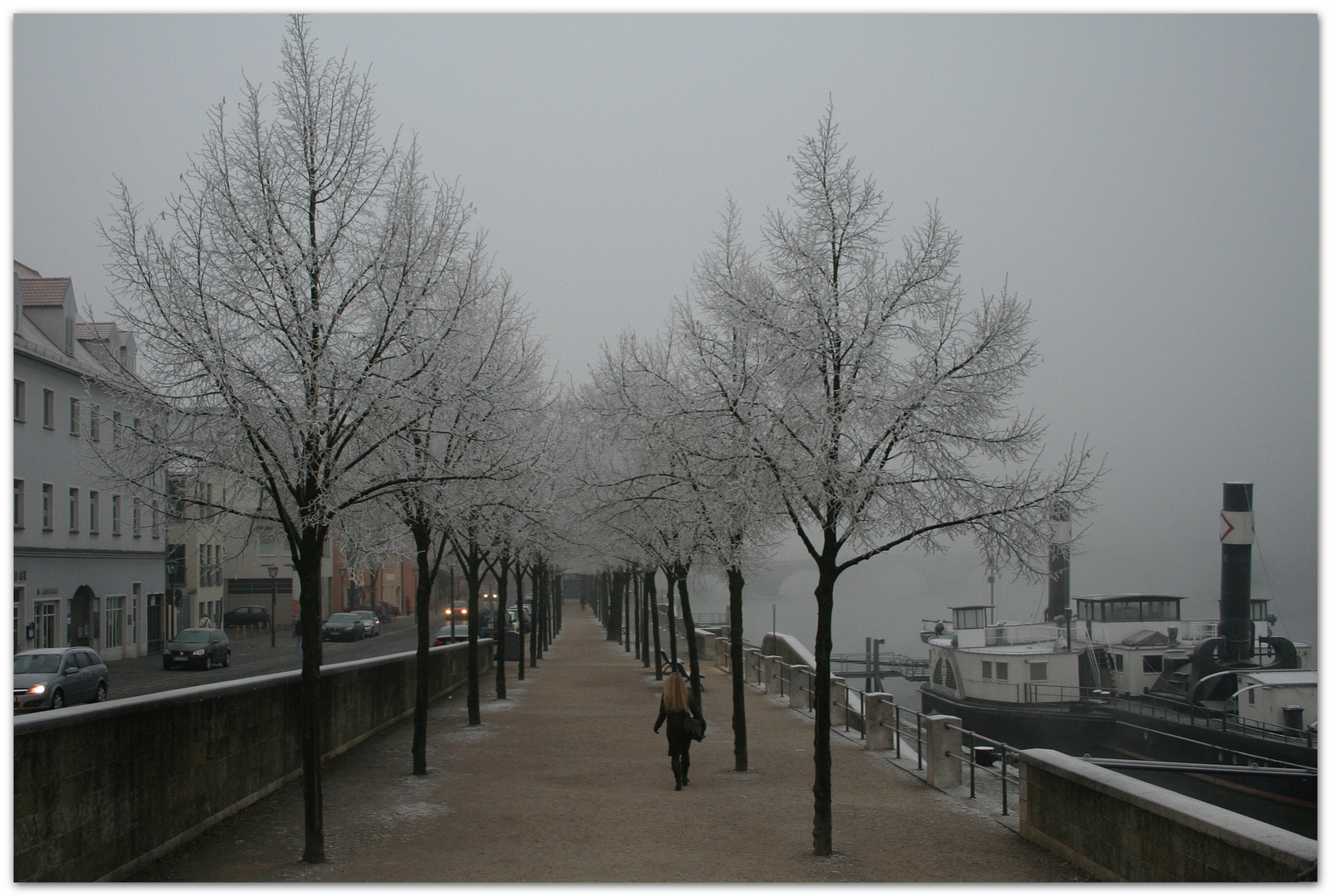 Nebel-Rauhreif-Regensburg 6