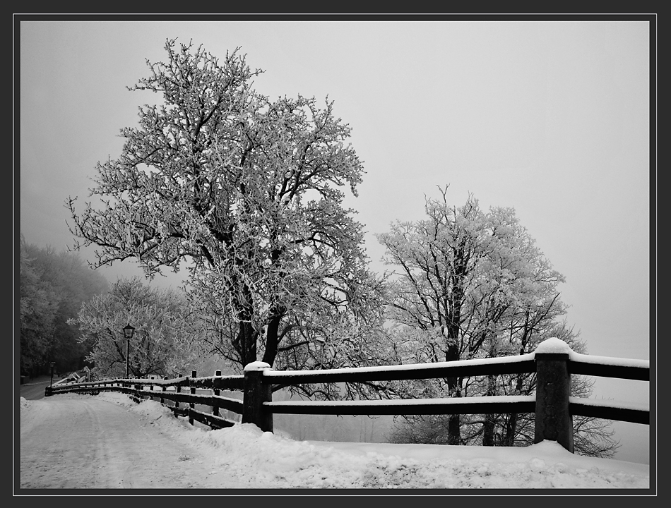 Nebel - Rauhreif - Schnee