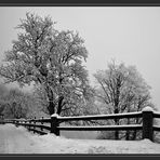 Nebel - Rauhreif - Schnee