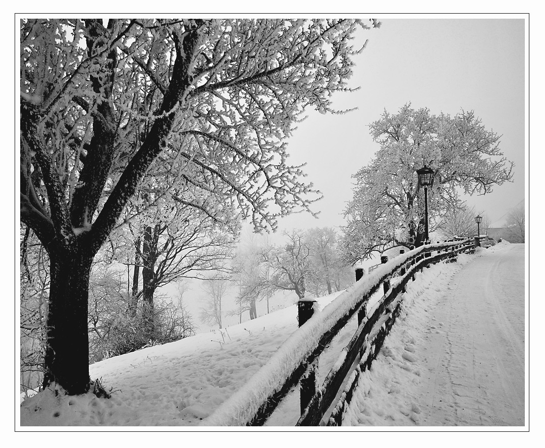 Nebel - Rauhreif - Schnee