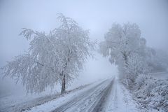 Nebel.. Rauhreif...eisig kalt...