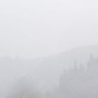 Nebel (Reichsburg Cochem)