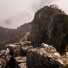 Nebel Reisen am Breitenstein