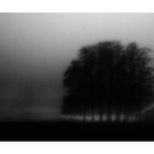 ..:: Nebel (reworked) ::..