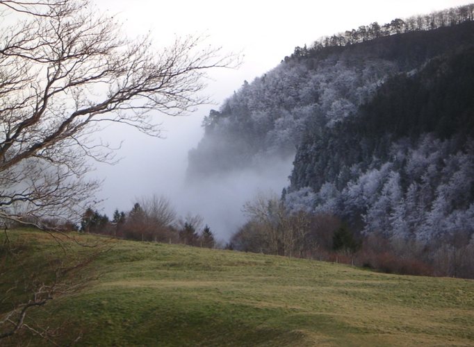 Nebel schleicht sich an