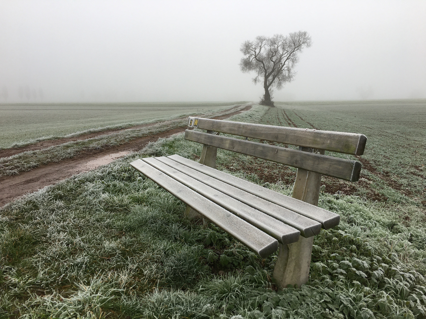 Nebel, Schleier des Lebens