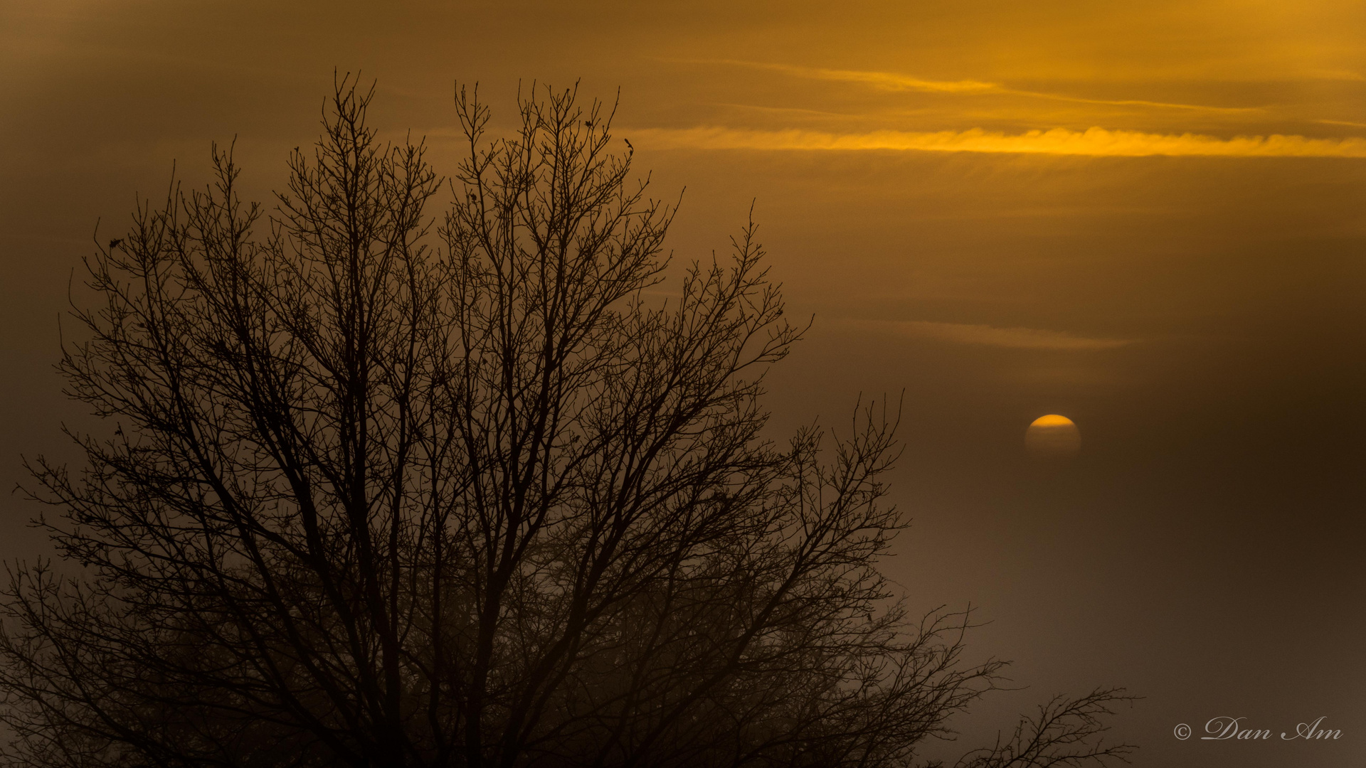 Nebel-schluss-leuchte...