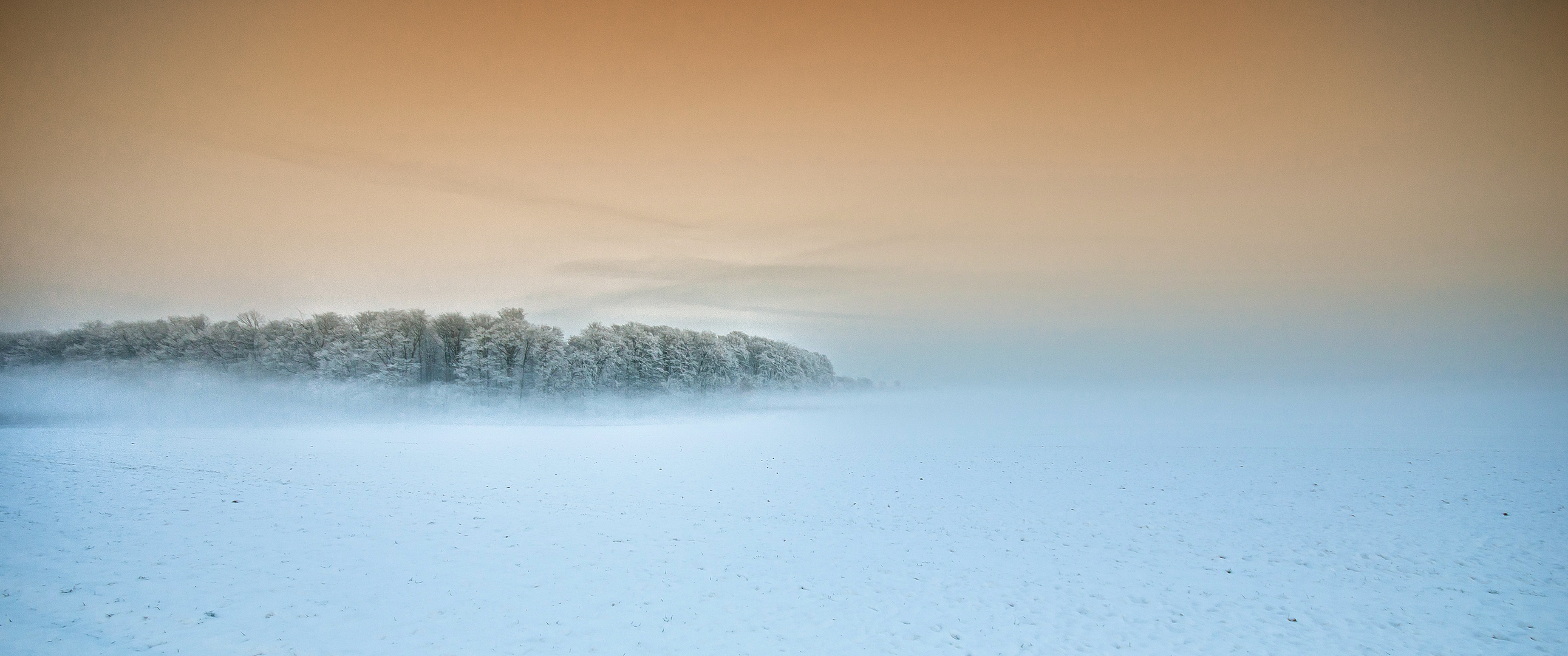 Nebel & Schnee