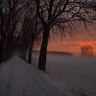 Nebel & Schnee