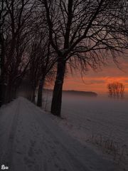 Nebel & Schnee