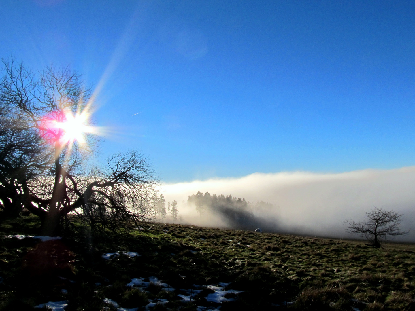 Nebel , Schnee und Sonne