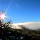 Nebel , Schnee und Sonne