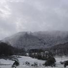 Nebel, Schnee, Wintereinbruch