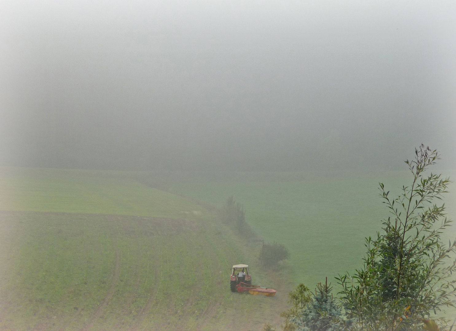 Nebel schützt vor Arbeit nicht...