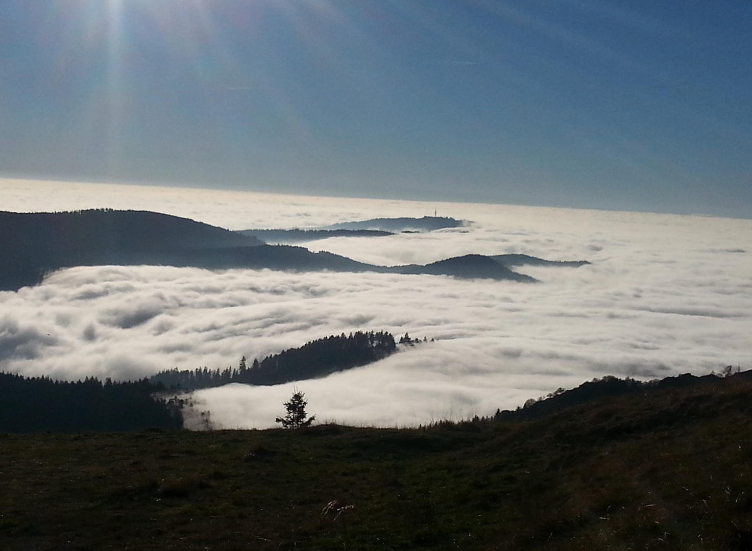 Nebel Schwarzwald