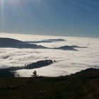 Nebel Schwarzwald