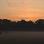 Nebel senkt sich über die Wiesen