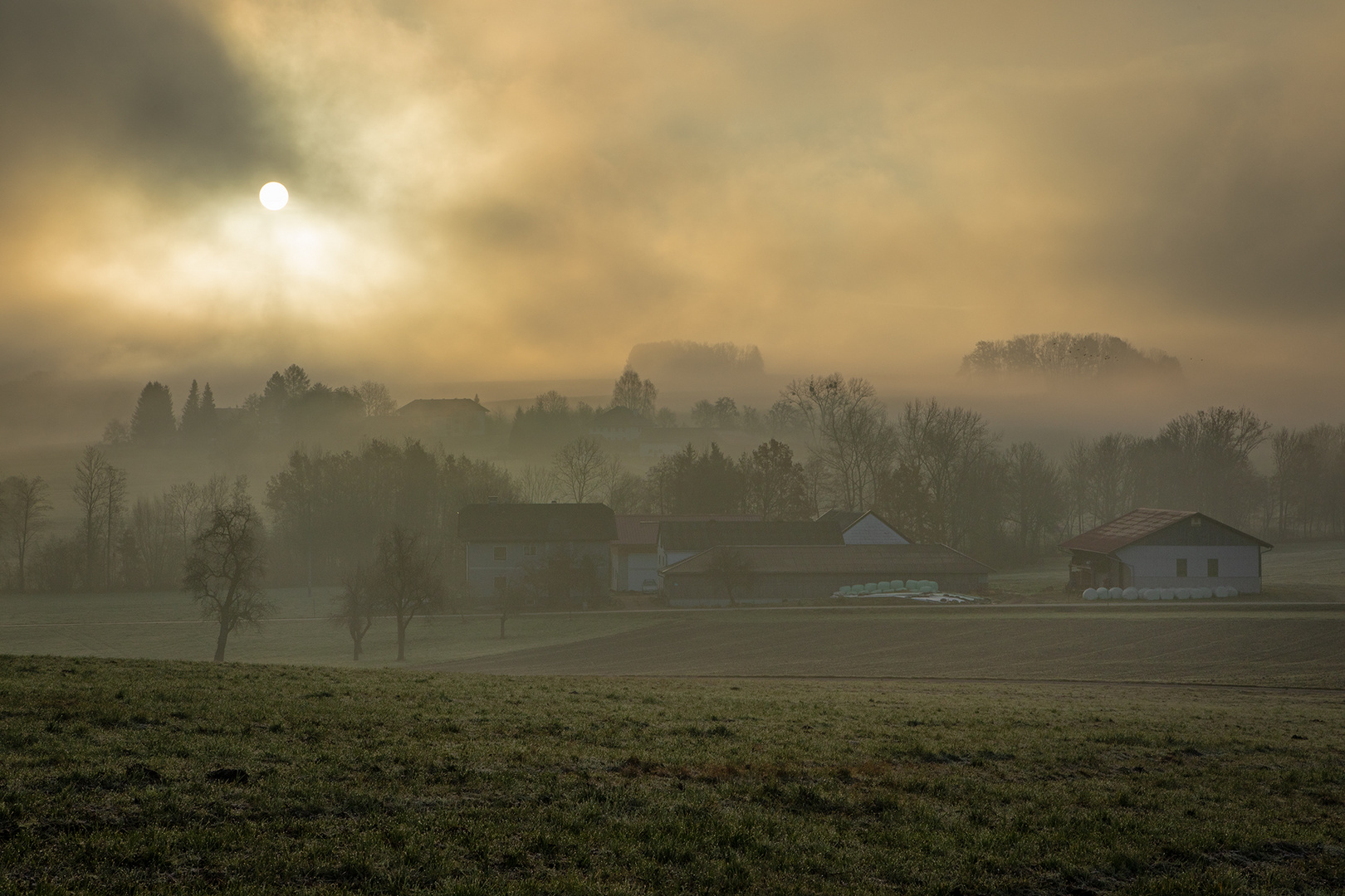 Nebel-Sonne 