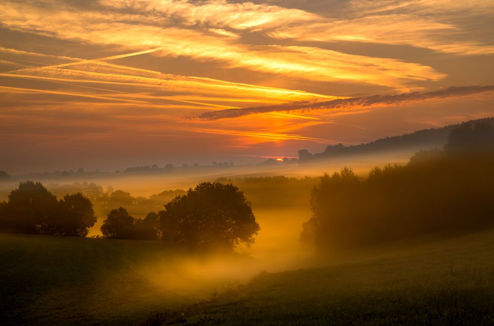 Nebel-Sonne