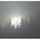 Nebel-Sonne