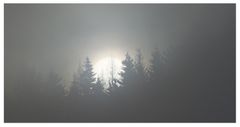 Nebel-Sonne