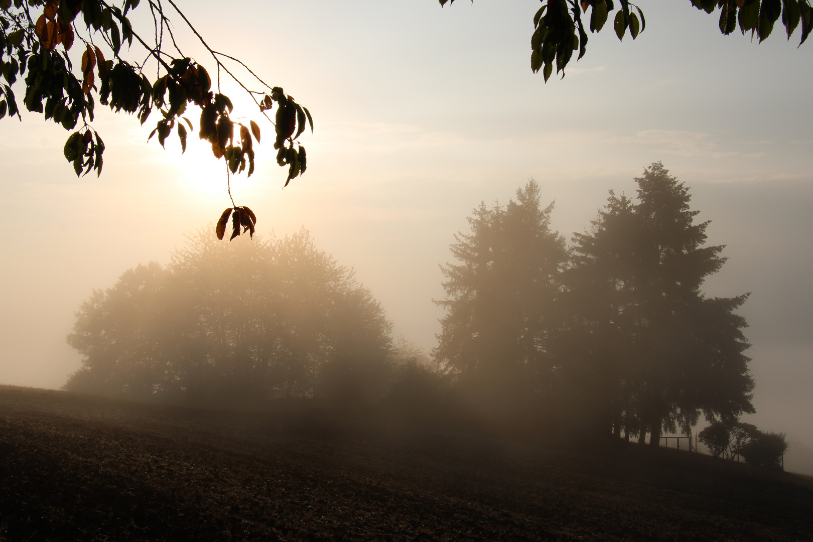 Nebel Sonne am Sonntag