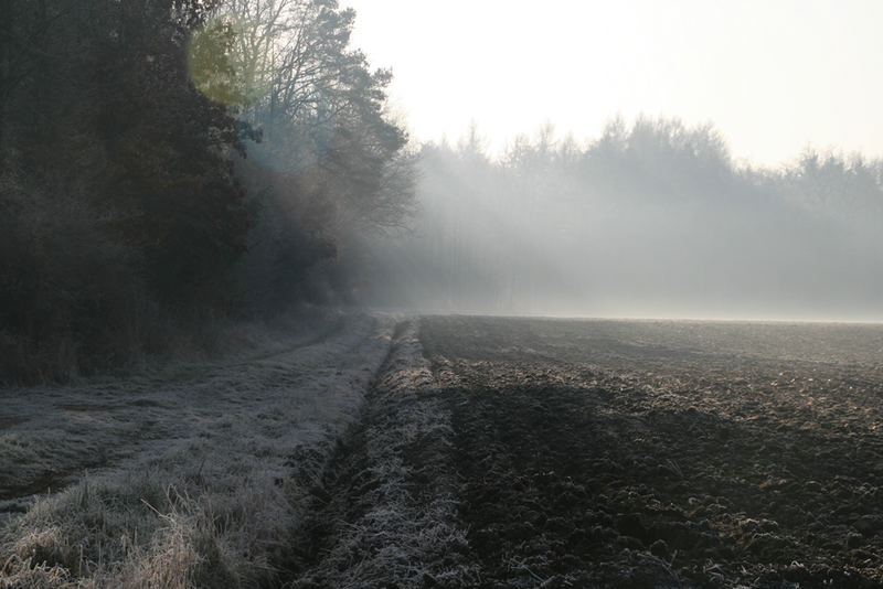 Nebel & Sonne