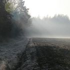 Nebel & Sonne