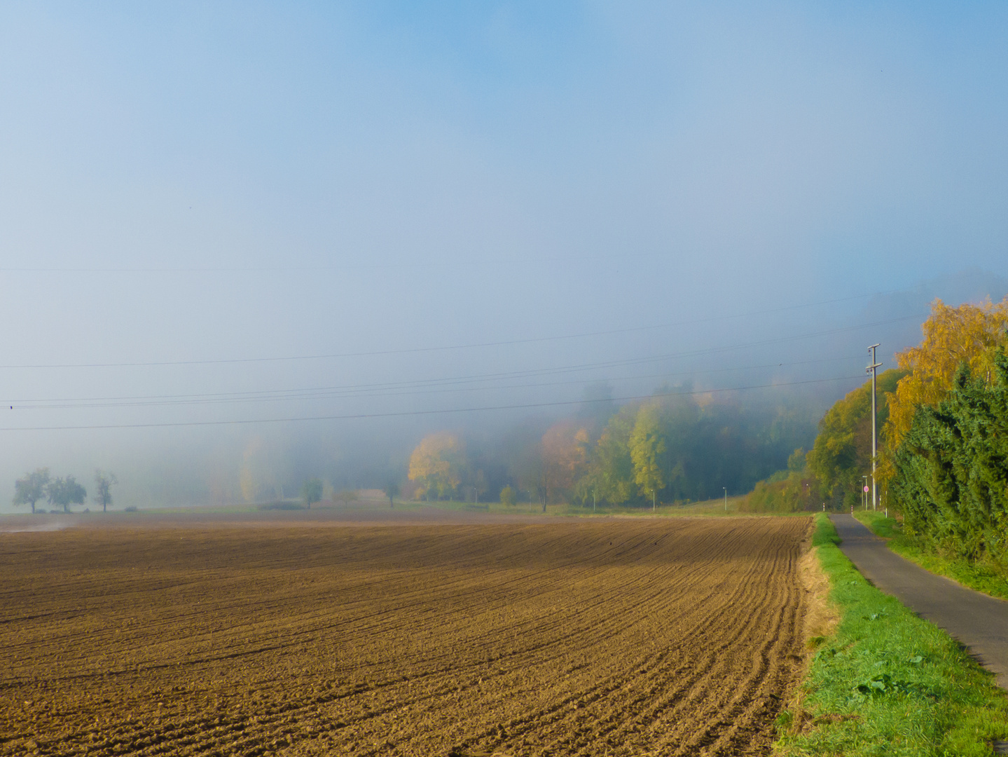 Nebel Sonne Landschaft