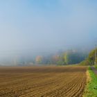 Nebel Sonne Landschaft