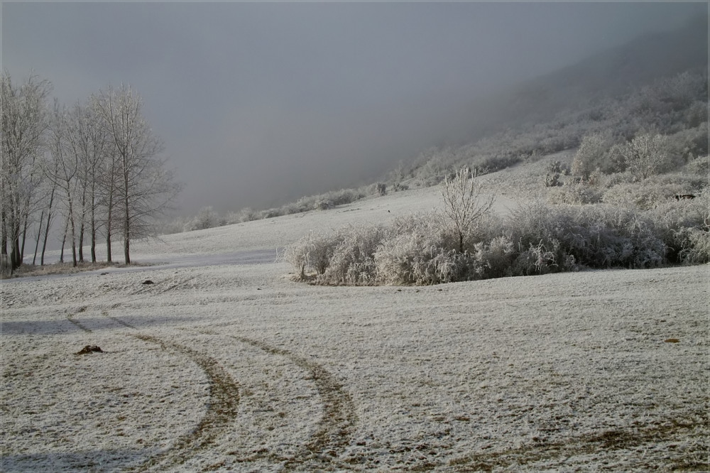 nebel, sonne, reif...