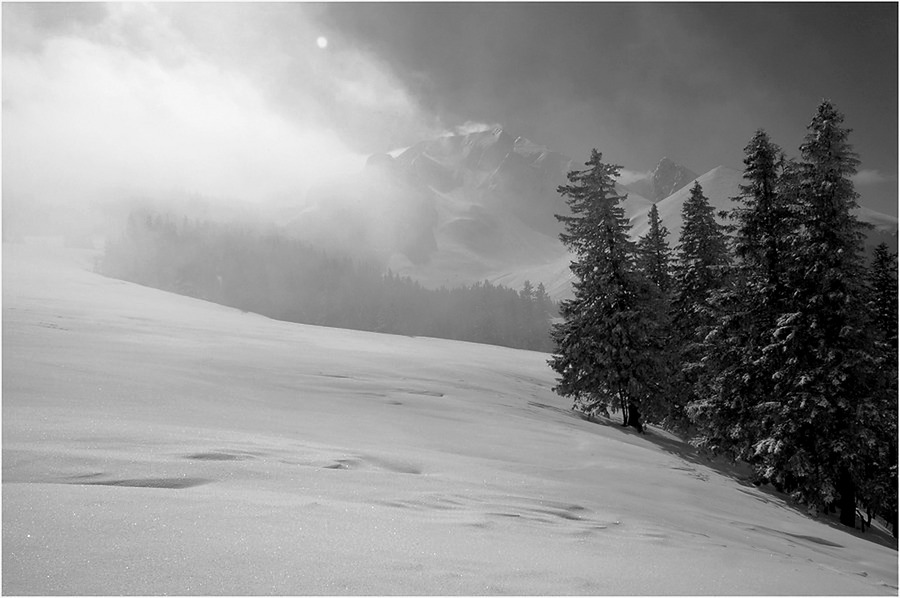 NEBEL. SONNE. SCHNEE.