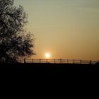 Nebel-Sonne über'm Zaun...